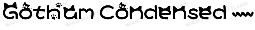 Gotham Condensed 英文字体字体转换